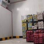 رطوبت نسبی، قهرمان گمنام نگهداری میوه در سردخانه